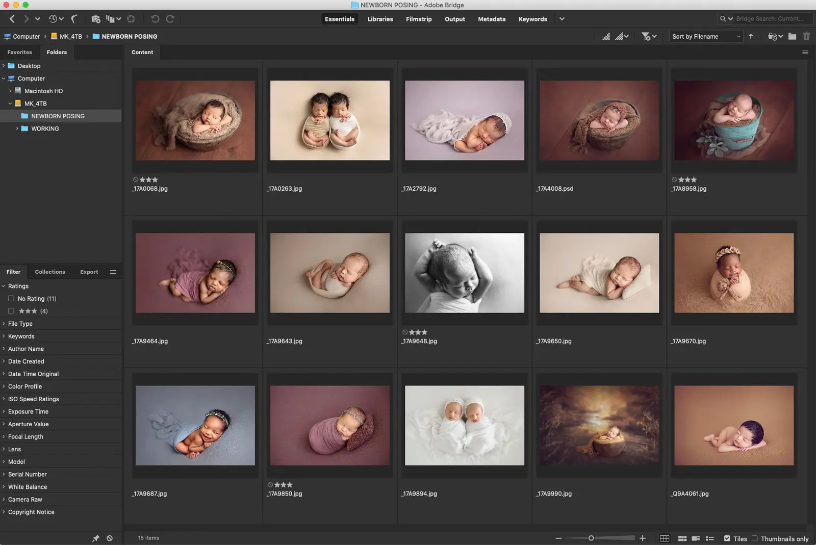 Adobe Bridge